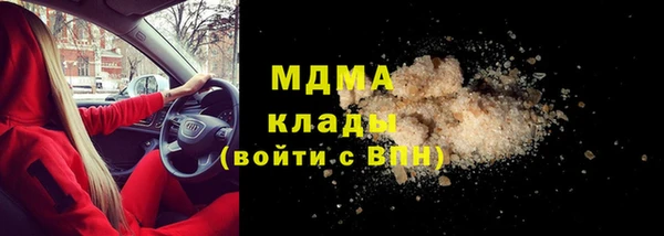 индика Инта