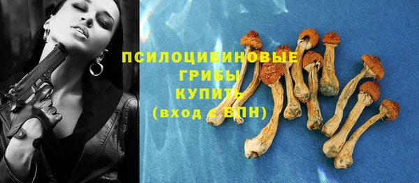 бошки Зеленокумск