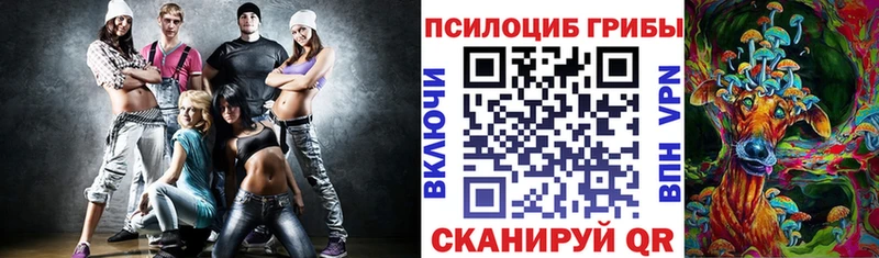 MEGA ссылка  купить закладку  Новомосковск  Псилоцибиновые грибы GOLDEN TEACHER 